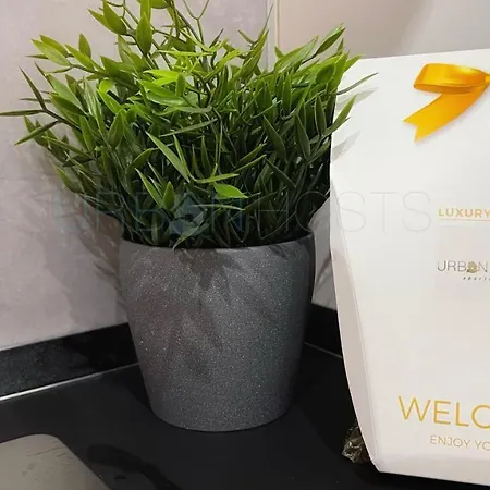 Vivienda Turistica Urbana En Santuchu, Comoda, Funcional Y Con Parking *